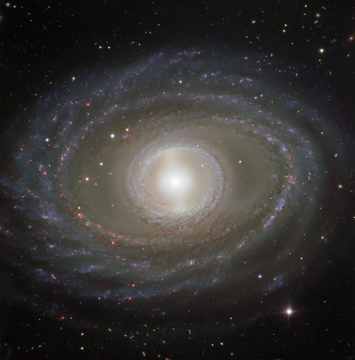 Tune in to tonight's <a href="/ESO/">ESO</a> Cosmic Duologue at 7pm AEST to hear <a href="/AAOorg/">AAOptics</a>/<a href="/MQSciEng/">Science and Engineering @ MQU</a>'s own <a href="/evil_dr_hopkins/">Andrew Hopkins</a> discuss whether large and small stars form in the same ratio everywhere. eso.org/sci/meetings/2… Image: eso.org/public/images/…
