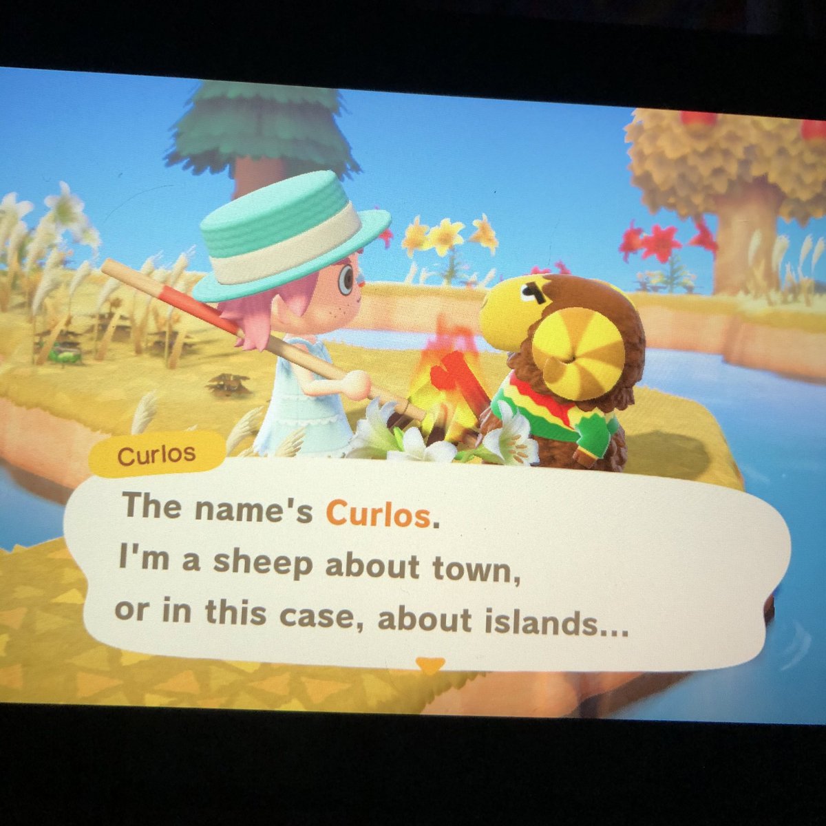 island 8 - curlosive gotten this guy on multiple islands before and my answer is still no sorry dude