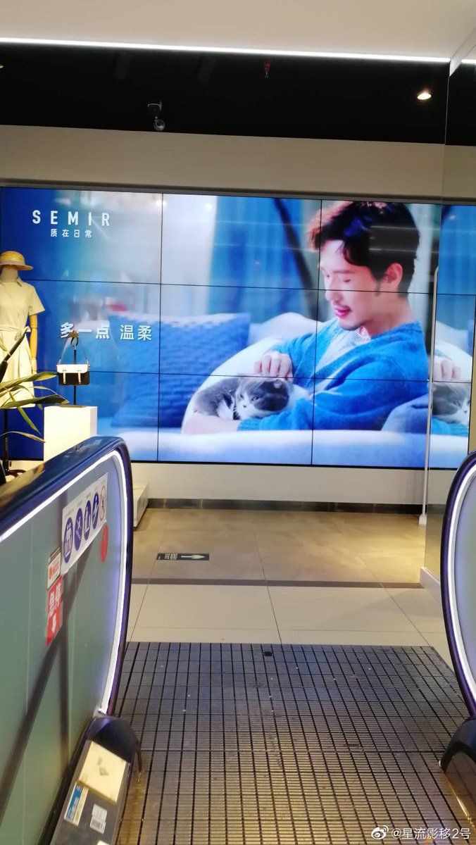 Arriving at a floor in the shopping mall and the first thing you see is a soft Baiyu petting a cat???? HELL YES SIGN ME TF UP