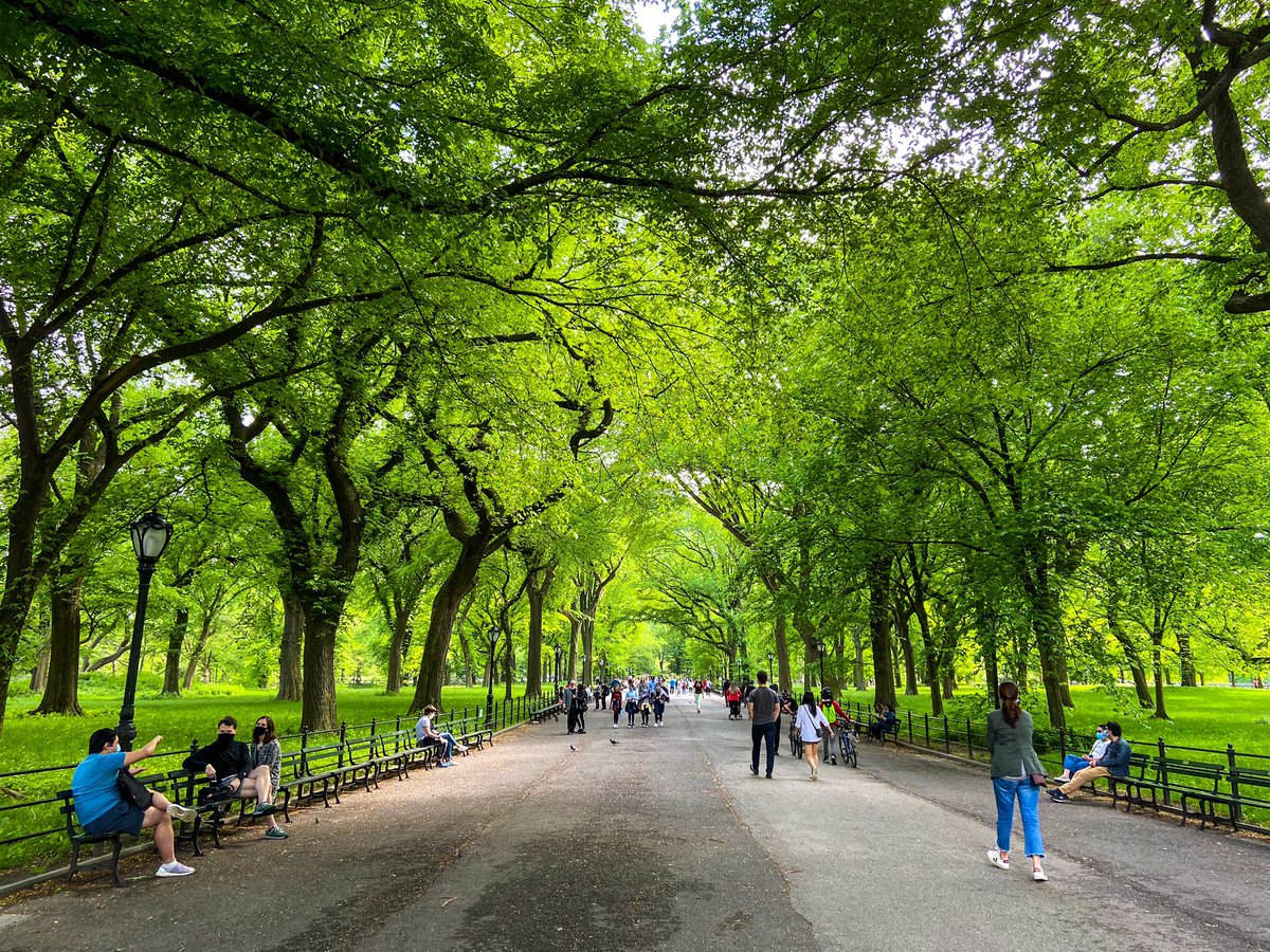 ニューヨークお散歩通信 今日のセントラルパークは緑がとても綺麗で 目がとても休まりました 最近 在宅勤務でモニターを長時間見て目を酷使していたので 本当に良かったです やはり屋外でリフレッシュするのは大切ですね ニューヨークの風景
