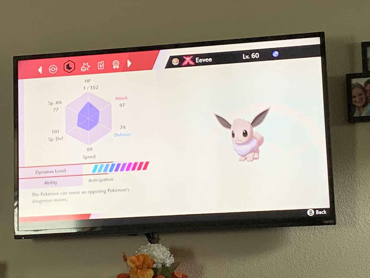 Meg Wilks On Twitter Today Was A Lovely Day Caught A Shiny Gmax Eevee W Hidden Ability Caught 10 Shiny Seedot In Pgo From My House For Comm Day Finished Organizing My