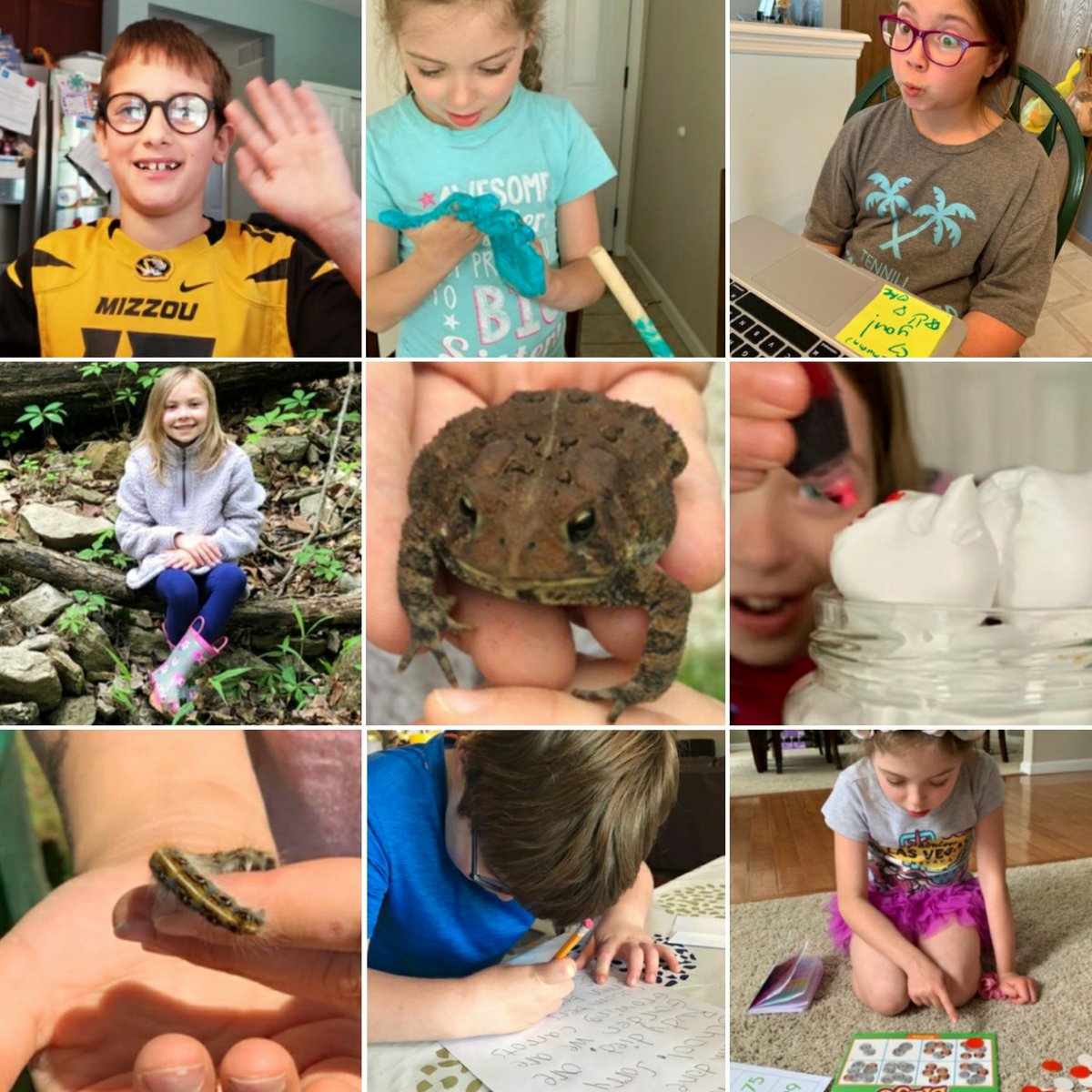 AprilVandiver's tweet photo. What a 4th quarter! We have shared photos as a class through these at-home weeks. Here is another collage of recent events: Frogs, caterpillars, homemade Play-Doh, eLearning at home, exploring, games and experiments! 💗💥🐛 https://t.co/JJUdbLznnW