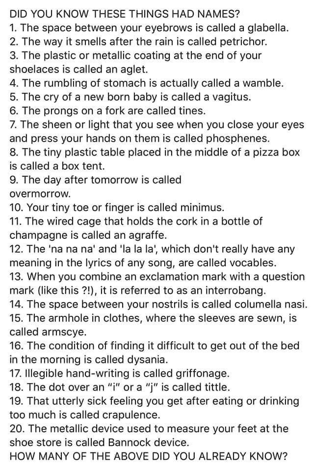 I’m adding overmorrow and interrobang to my vocabulary!