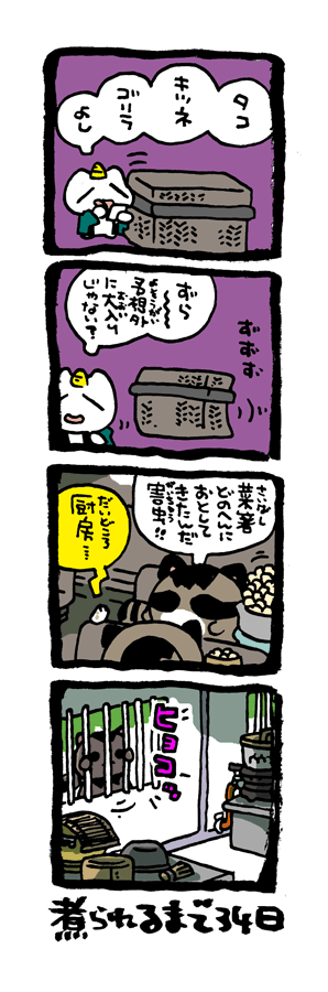 @DoyonoJun 100日後に煮られるタケノコ67 