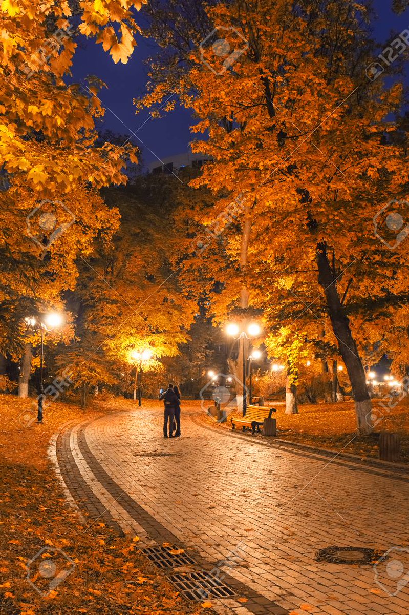 Mary Veas tweet media