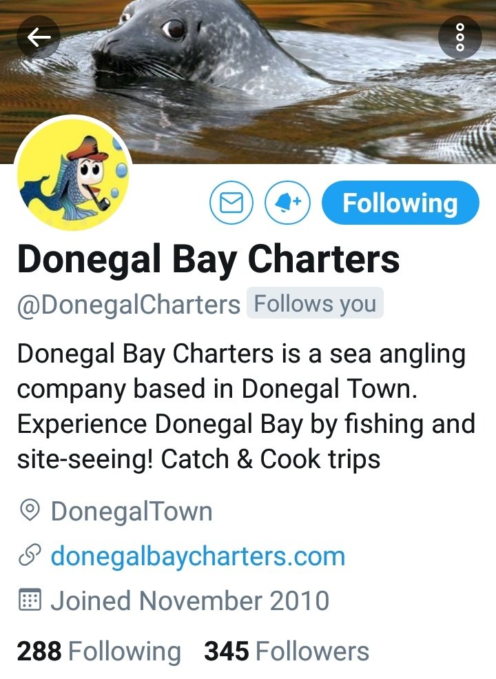 Irish Food Guide - Zack tweet media