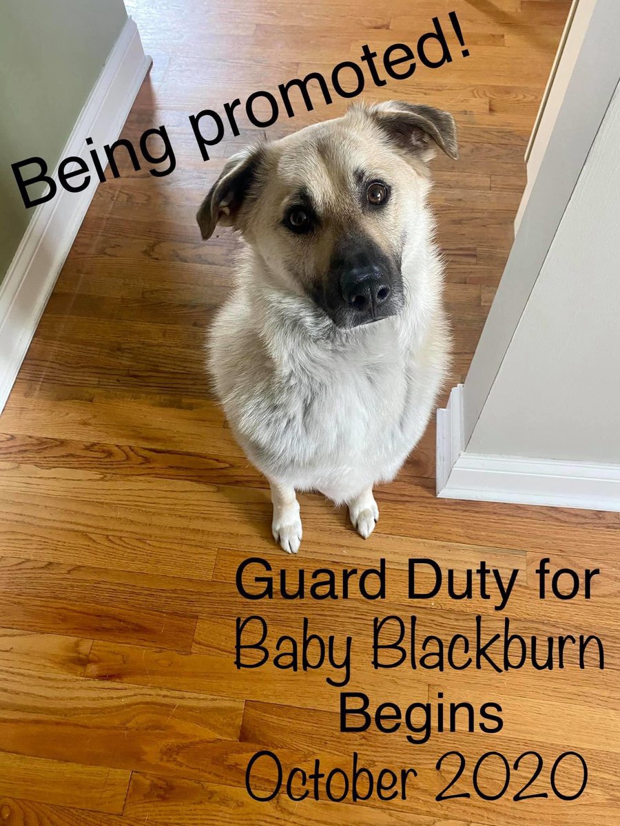 realblackburn's tweet photo. https://t.co/h6EouNjrgk