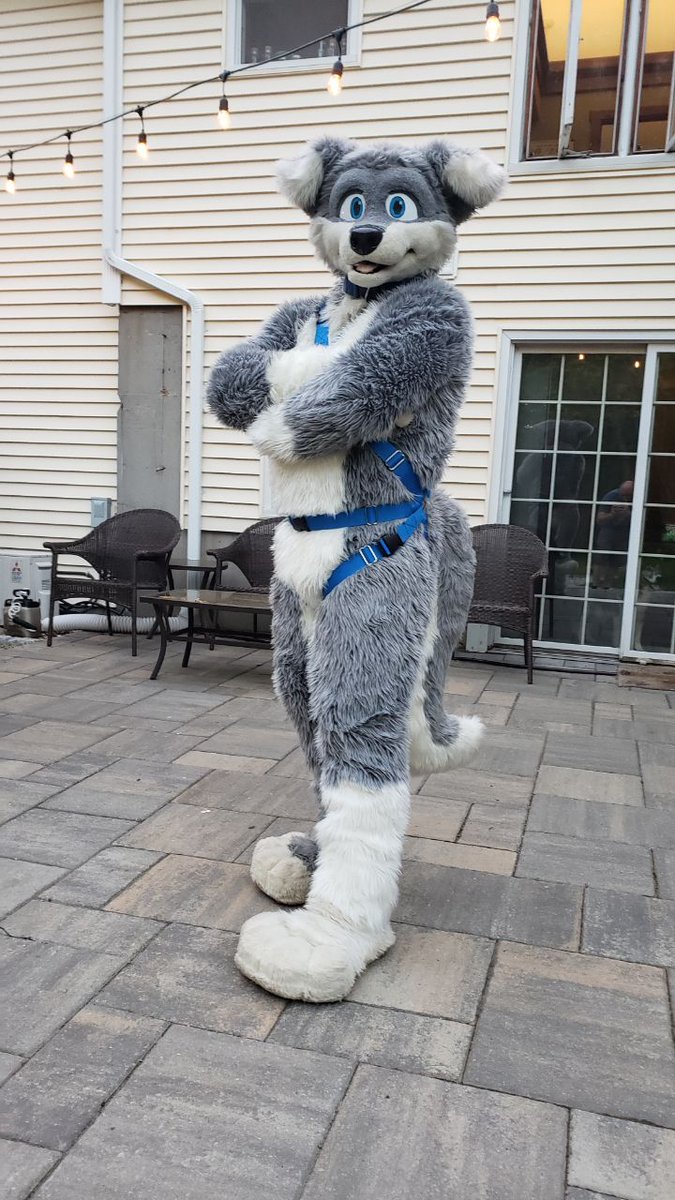 one_silver_wolf's tweet photo. I've always loved the way suits look when wearing a harness so I took a stab at making my own. I have a few design notes for next time but I love how it came out. https://t.co/qbiWfQHXxC