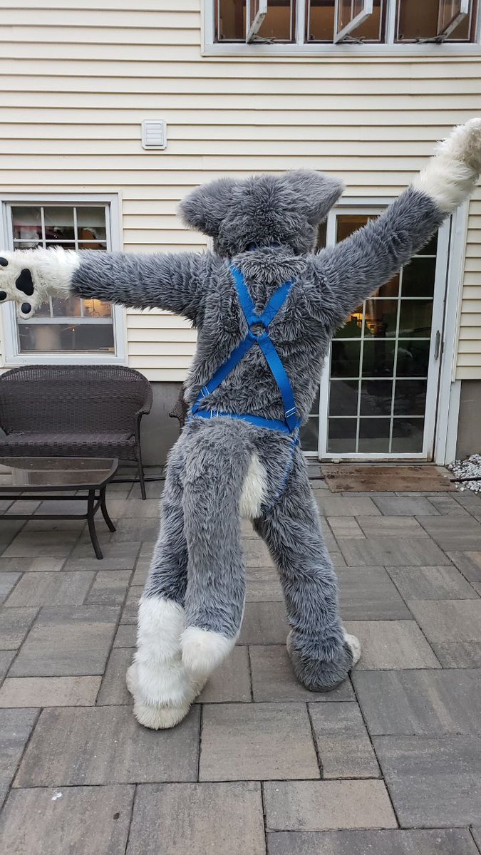 one_silver_wolf's tweet photo. I've always loved the way suits look when wearing a harness so I took a stab at making my own. I have a few design notes for next time but I love how it came out. https://t.co/qbiWfQHXxC