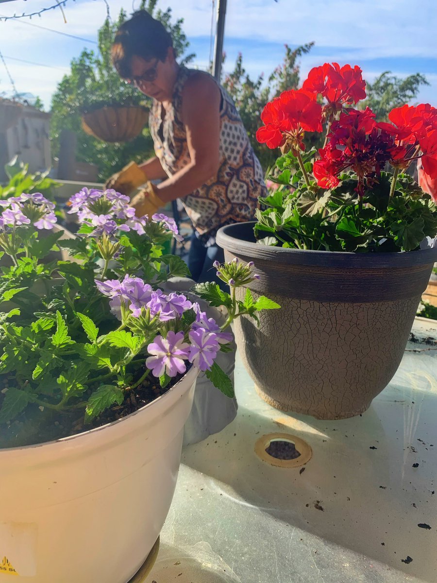 fcalderon87's tweet photo. appreciating the little things in life, like spending time with my mom as she gives new homes to the flowers I got her from our garden center.🌸 https://t.co/V0ZJ7uo3Zg