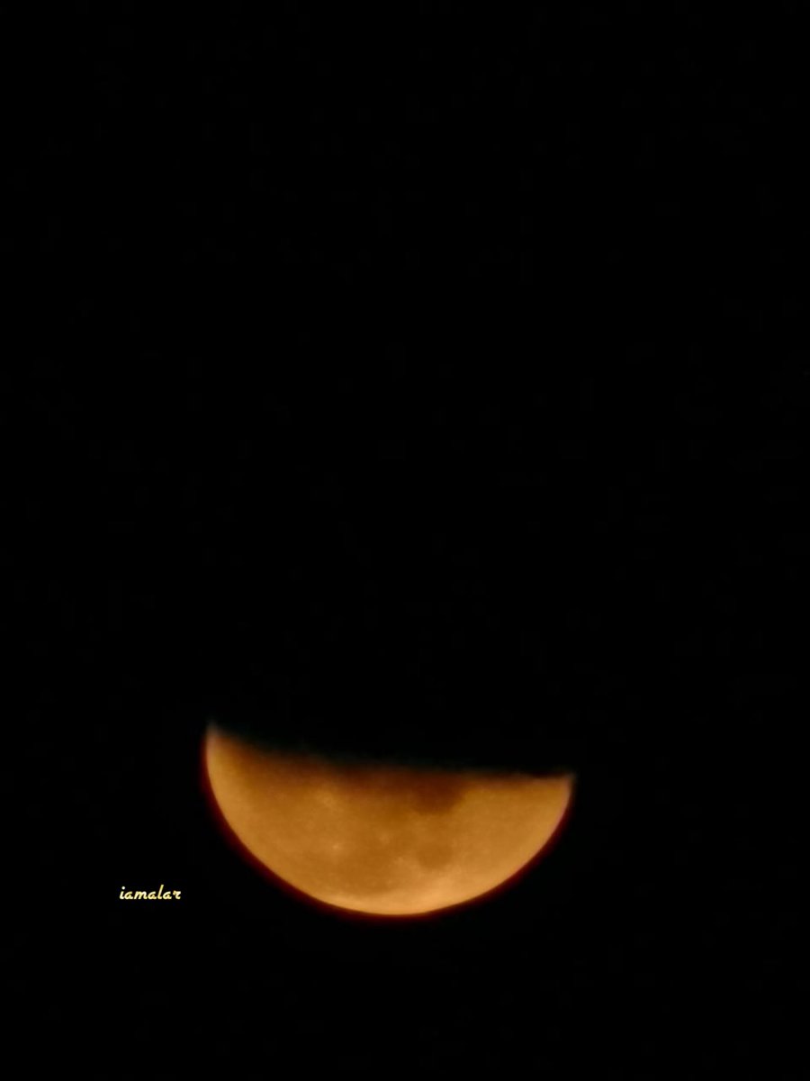 i_amalar's tweet photo. #كلنا_برتقالي من تصويري🎗😍 https://t.co/1A0NQb02sC
