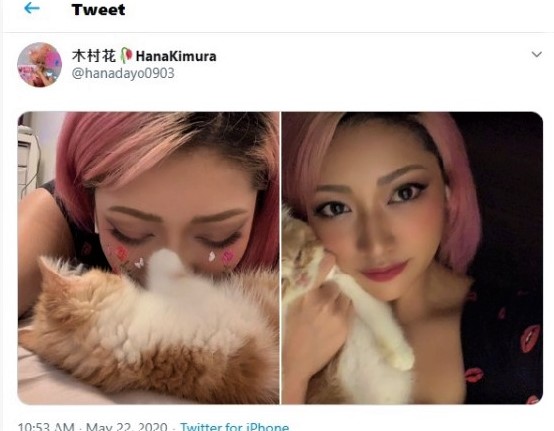 JAPÓN HOY tweet media