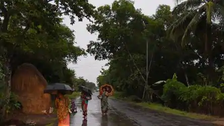 htTweets's tweet image. #CycloneAmphanUpdate | Power restored, Kolkata limps back to normalcy

(reports @tanmaynews) 

hindustantimes.com/india-news/pow…