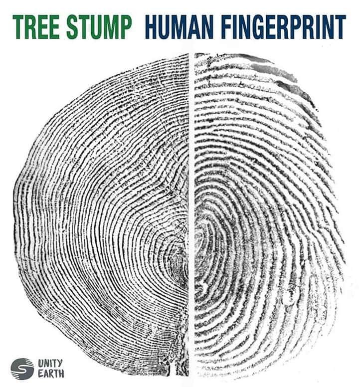 𝙒𝙚 𝙖𝙧𝙚 𝙤𝙣𝙚 🌳👏
#tree #human #fingerprint #treelove #welovetrees #pefc #forests #forestfacts #wood #welovewoods #woodisgood #weneedtrees #houtmethartstocht #HmH