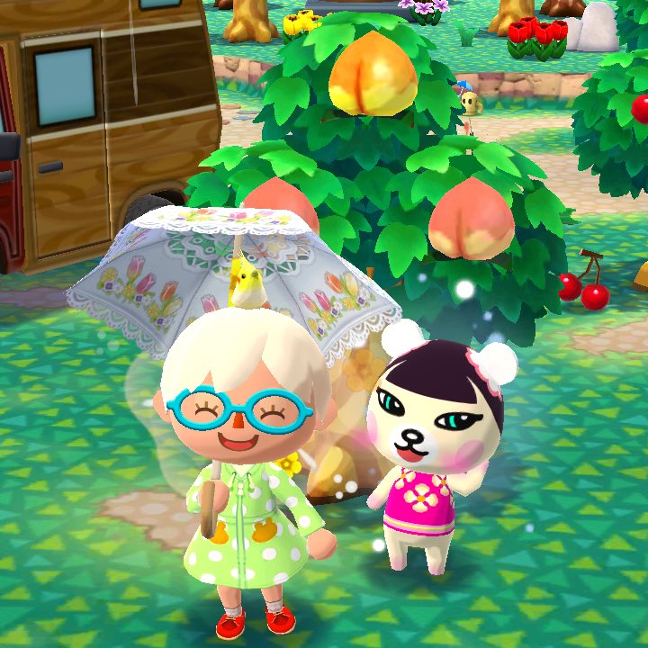 🌧 Lucky ducky 🍑 #ACPCGallery #ACPCRainyDays