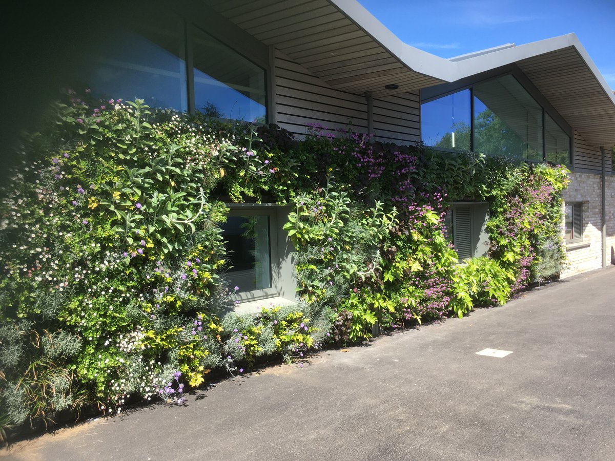 Our vibrant living wall on the outside of the new Centenary Centre is flourishing in the sunshine! #theprepfamily