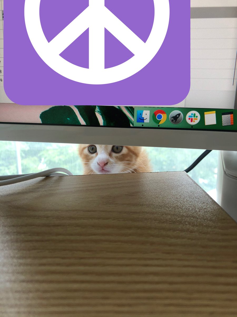 Yoojin J 🙋🏻♀️ tweet media