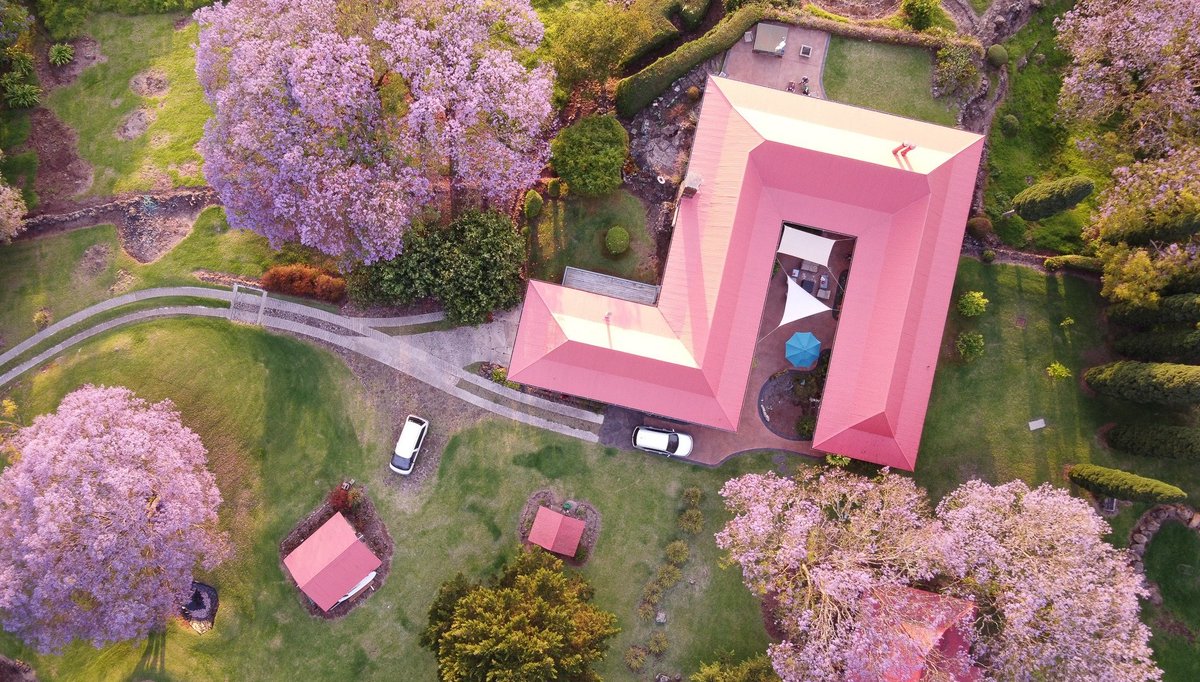 Corey Mount tweet media