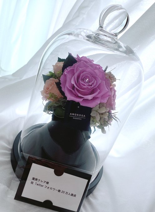 所属するオールさんから！ Twitterフォロワー20万人達成のお祝いいただきました✨✨ プリザーブドローズ バラも色合いも私の好きなやつでうれしい！ https://t.co/6XQx83KA4S<a href="/tag/japanesegirl"class="tags"><span>#japanesegirl</span></a><a href="/tag/fansite"class="tags"><span>#fansite</span></a>