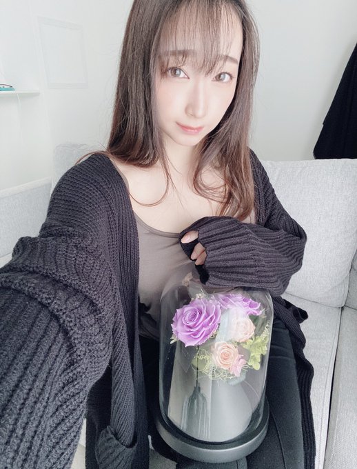 所属するオールさんから！ Twitterフォロワー20万人達成のお祝いいただきました✨✨ プリザーブドローズ バラも色合いも私の好きなやつでうれしい！ https://t.co/6XQx83KA4S<a href="/tag/japanesegirl"class="tags"><span>#japanesegirl</span></a><a href="/tag/fansite"class="tags"><span>#fansite</span></a>