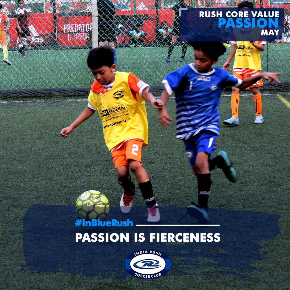 IndiaRushSC's tweet photo. As we battle through COVID 19 develop a fierceness for fitness at India Rush SC.
Follow us for health enhancement and fitness programs
#IndiaRushSCStrong #Throwback #BattleCovid19 #CreativeQurantine #Free #Training #InBlueRush #IndiaRushSC https://t.co/bfk8AVZTCI