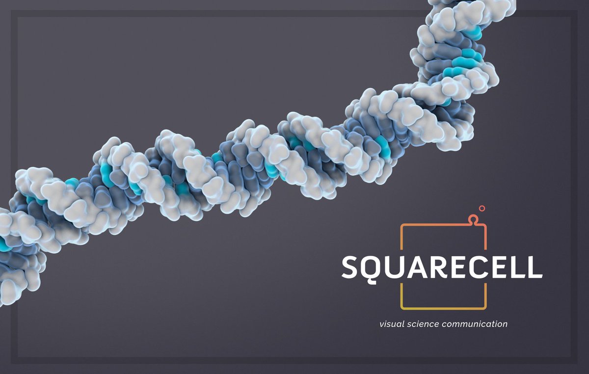 SquareCell tweet media