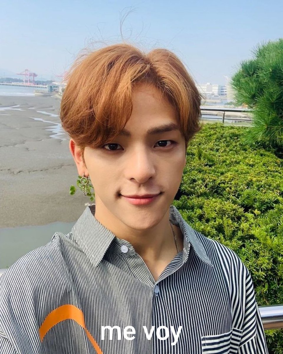 MOVED 📌 tweet media