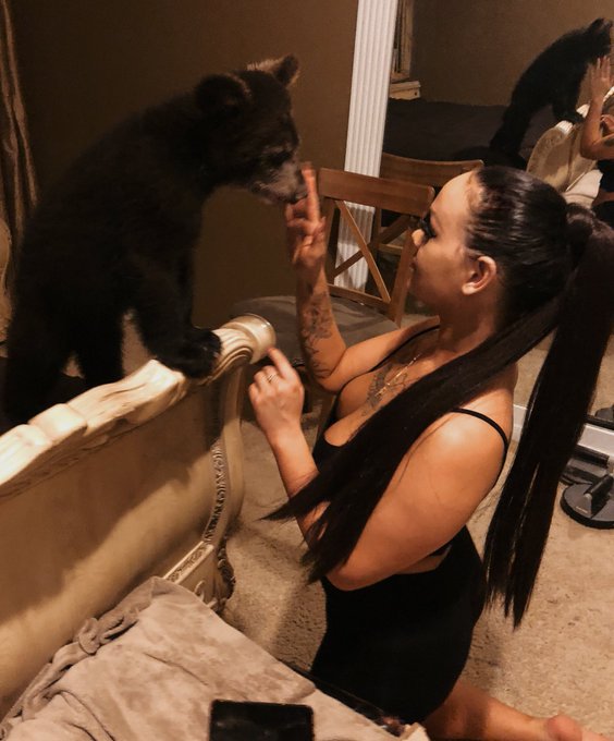 Sunday Funday 🐻 #lifestyle https://t.co/g1mfoKxe6r<a href="/tag/lifestyle"class="tags">#lifestyle</a>