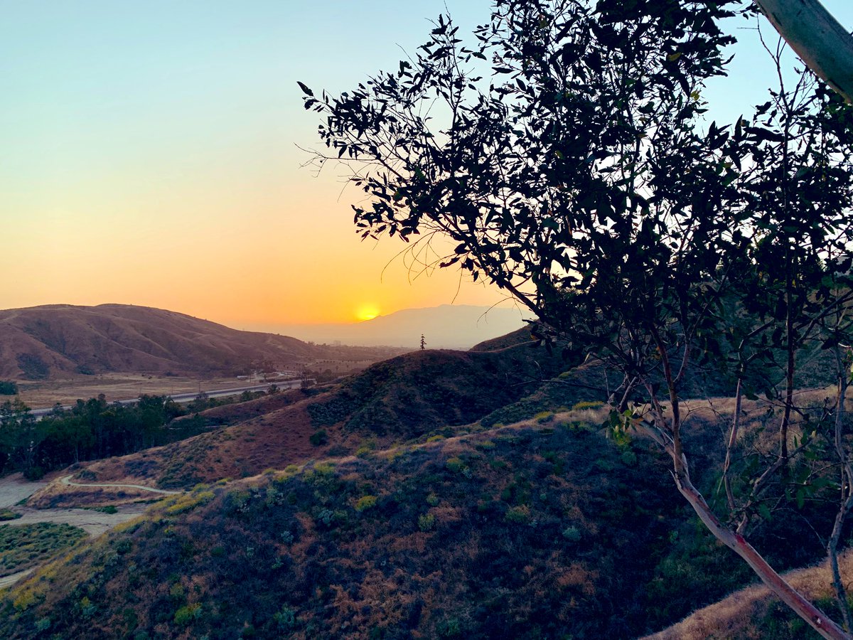 purviparwani's tweet photo. #SunsetHikes #Socal #SocialDistancing
#QuarantineLife
#QuarantineDiaries
#HikingWithMaskOn https://t.co/qxc1OJe63p