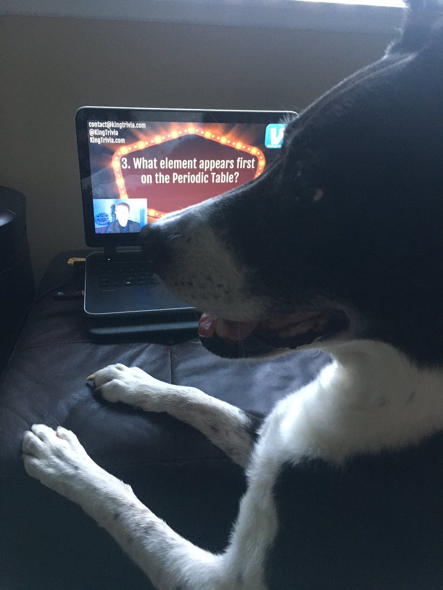 cavu42's tweet photo. Buster got 6 out of 6 and is  a huge fan of @KingTrivia https://t.co/DO5uKxMuOK