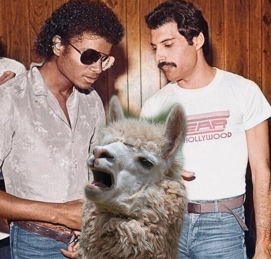 justhazef4's tweet photo. provas de que Freddie Mercury e a lhama do Michael Jackson eram amigos - a thread https://t.co/9NLxnq98aS