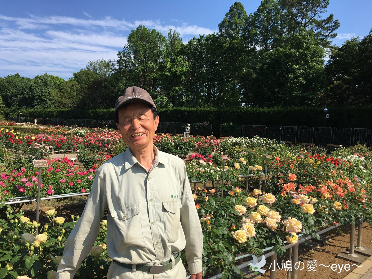 ラジオ日本 小鳩の愛 Pa Twitter 5 23放送後記 神代植物公園で庭師として活躍される竹内勇夫さんから バラの写真が届きました 新型 コロナウイルスの影響で 神代植物公園は現在休園中ですが たくさんのバラが今年も力強く 美しく咲いています