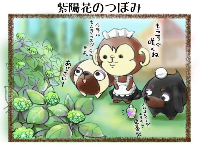 紫陽花のつぼみのtwitterイラスト検索結果 紫陽花のつぼみのtwitterイラスト検索結果