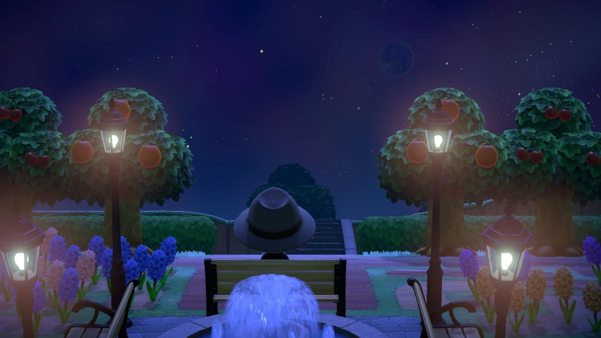 Mario200K's tweet photo. Best way to gaze at the stars during this quarantine https://t.co/yMQsM5UZTX