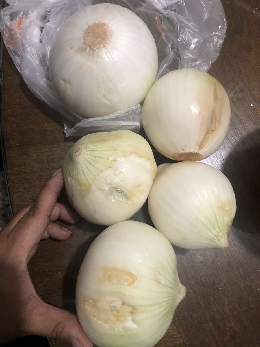 vacio75's tweet photo. @LaComerOficial Cuando uno compra en línea, confía en que surtirán bien y completo. Esta noche me faltaron 6 productos y no fueron para llamarme, siendo que elegí la opción de que lo hicieran. También recibí mi fruta aplastada y mi cebolla podrida. ¿Quién va a responder por eso? https://t.co/elhRSOjGTA
