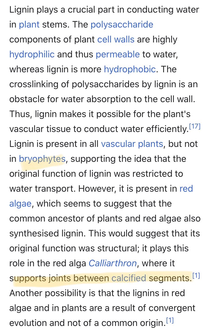 bryophytes - oyster green plantsSP-ores