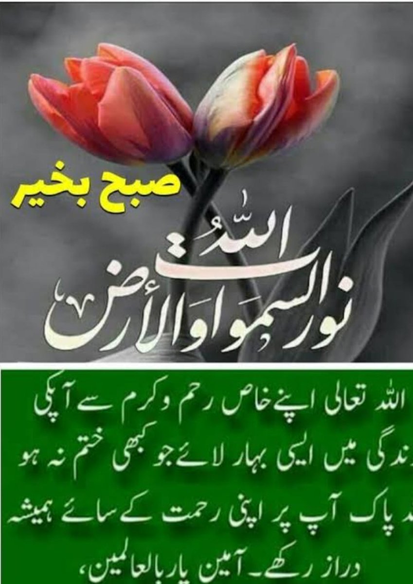 Drbakhtiar4's tweet photo. Every day ahoukd be start with pray but unfortunate most of us do only in ramdan karim https://t.co/t6QaKO4fZr