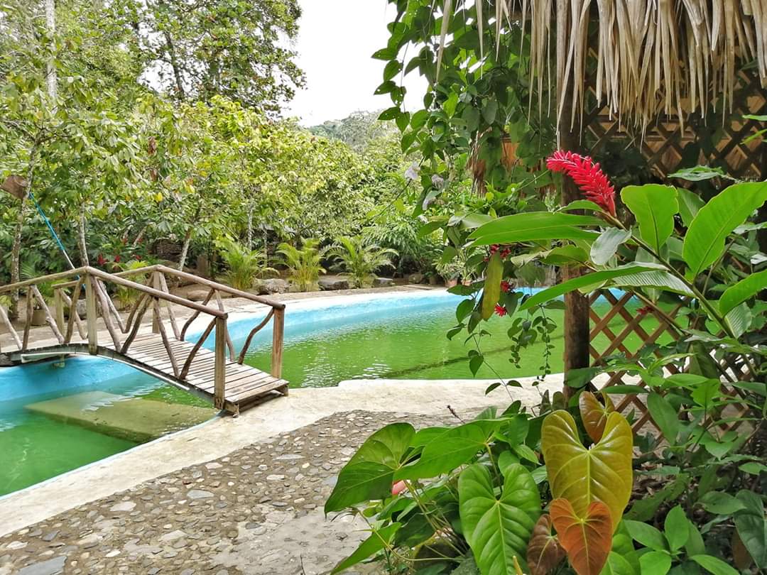 Vivir contándonte con la naturaleza debe estar entre tus próximos planes, <a href="/Ranchodonlulu/">Rancho don Lulú</a> es una opción que recomendamos. 

#turismointerno #turísticard