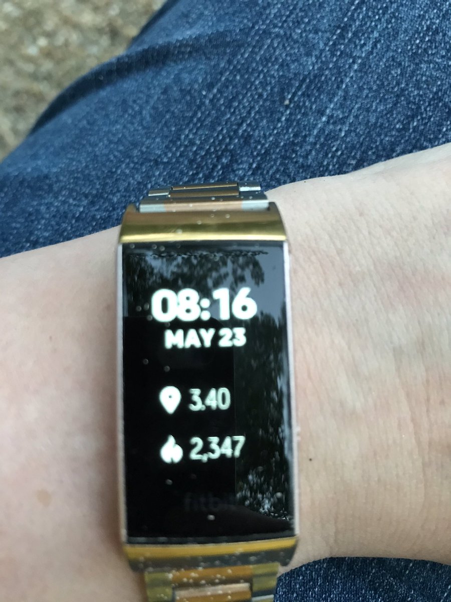 ChelyseMiller's tweet photo. Day 23 I could not get a pic of the trail because of reception. But I included a pic of my 3.1 miles for Korrina! Today, Day 24, I didnβt think it recorded, but it did...whew! #VBWeXercise https://t.co/wnIkbQwpL3