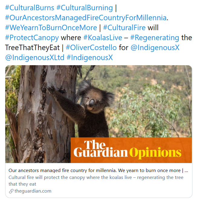 WgarNews's tweet photo. @Michz45 @BlakandBlack @WhteRbbnAdvocat @OBallmark2 @lynlinking @RobRobbEdwards @anne_clothier @JonesHowdareyou @LadyPoop2 @RachelQuayle08 @MarkPlackett1 @janettj777 @inthesetimesmag @rjstrikers @virgotweet @BakchosGlass @JennyPineapple2 @rationalbitch @lobbycoorg @prudinx @paulinehollywoo @AusIndigLanguag @MarkKinver @BBCNews @IndigenousX @IndigenousXLtd @yessfun @Malarndirri19 @RightsLGBTI @mormorlady @FaiMujer @ABCIndigenous @CapesJoy @KaushalyaFem @L_DeWeaver @GreenLeftOnline @MorpheusBeing @themarkjacka @UniMelbPoche @MSEI_UniMelb #AboriginalCulturalBurns #AboriginalCulturalBurning #CulturalBurn #CulturalBurns #CulturalBurning | #OurAncestorsManagedFireCountryForMillennia. #WeYearnToBurnOnceMore | #CulturalFire will #ProtectCanopy
#MoonScapeCat @moonscapecat
https://t.co/Kt51P1JqFM https://t.co/FofwYWiLs2 https://t.co/rD6M8cW0o7
