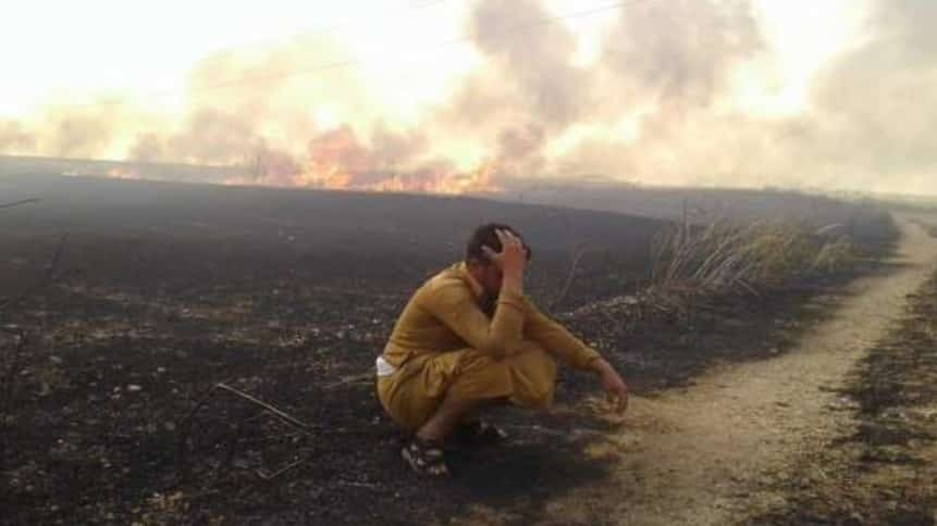 Imagine you're a Syrian farmer, you've spent all year painstakingly cultivating your wheat crops. Then spring comes and it's finally harvest time! Then US helicopter drop just one bomb and sets them all on fire. All the hard work to ash. How will you feed your children this year?