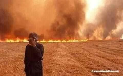 Your grandpa is usually a tough old man. As a farmer he lived through a lot of droughts. But at the sight of his fine crops ready for harvest suddenly set on fire by a bomb, he breaks down into tears.  #Syria