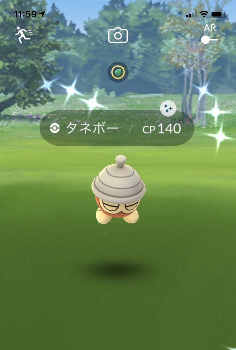 Pa Twitter ケタネボーのコミュニティデイお疲れ様でした 色違いは計13匹でした𓂃 色違い出た瞬間にアプリ落ちて1匹いなくなっちゃったの悲しいけどいっぱいきてくれたからよし𓏲𓏲 1枚目はタネボーの激かわいい瞬間 ポケモンgo タネボー 色違い 色