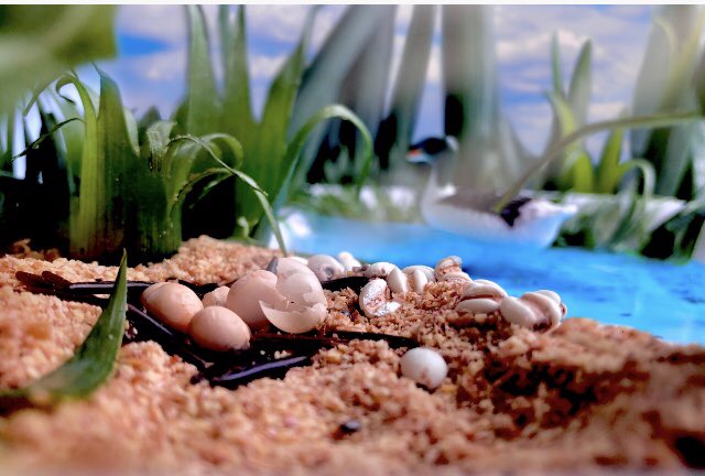 Congratulations to Salibury's Artist of the Week, Annie. Very creative work with your Food Landscape Photography! <a href="/eips/">Elk Island Public Schools</a> <a href="/SalComp/">Salisbury Composite</a> <a href="/ShPk_News/">Sherwood Park News</a>