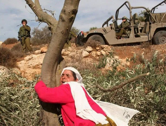 It's very similar to how Israel bulldozes the century old Palestinian olive farms. Denying non-jews their food source in order to ethnically cleanse them.