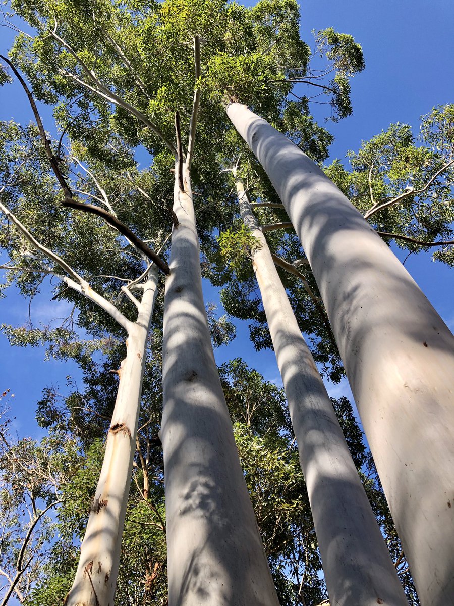 I love today’s office.