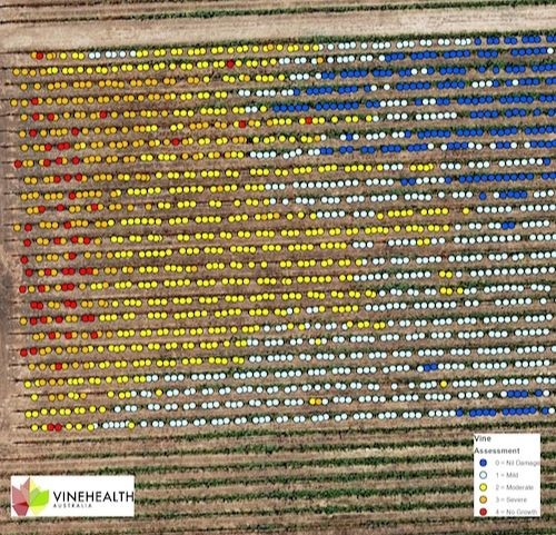 Fire recovery maps created.
Vinehealth Australia is part of a team helping Adelaide Hills and Kangaroo Island vineyard owners with bushfire recovery efforts, by creating digital vineyard maps to show the distribution of damage across blocks. 
vinehealth.com.au/2020/05/fire-r…