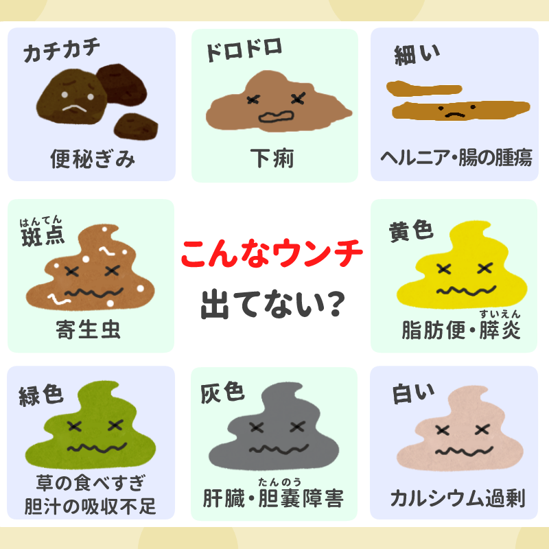 ペットフード販売士 ドッグトレーナー ゆき Pa Twitter 愛犬の今日のウンチの色やニオイ 硬さは ウンチは健康のバロメーターです 理想のウンチは明るい茶色 こげ茶色 拾い上げたときに崩れず 地面にウンチが残らない適度な硬さがベスト 白い点が混ざっていたり