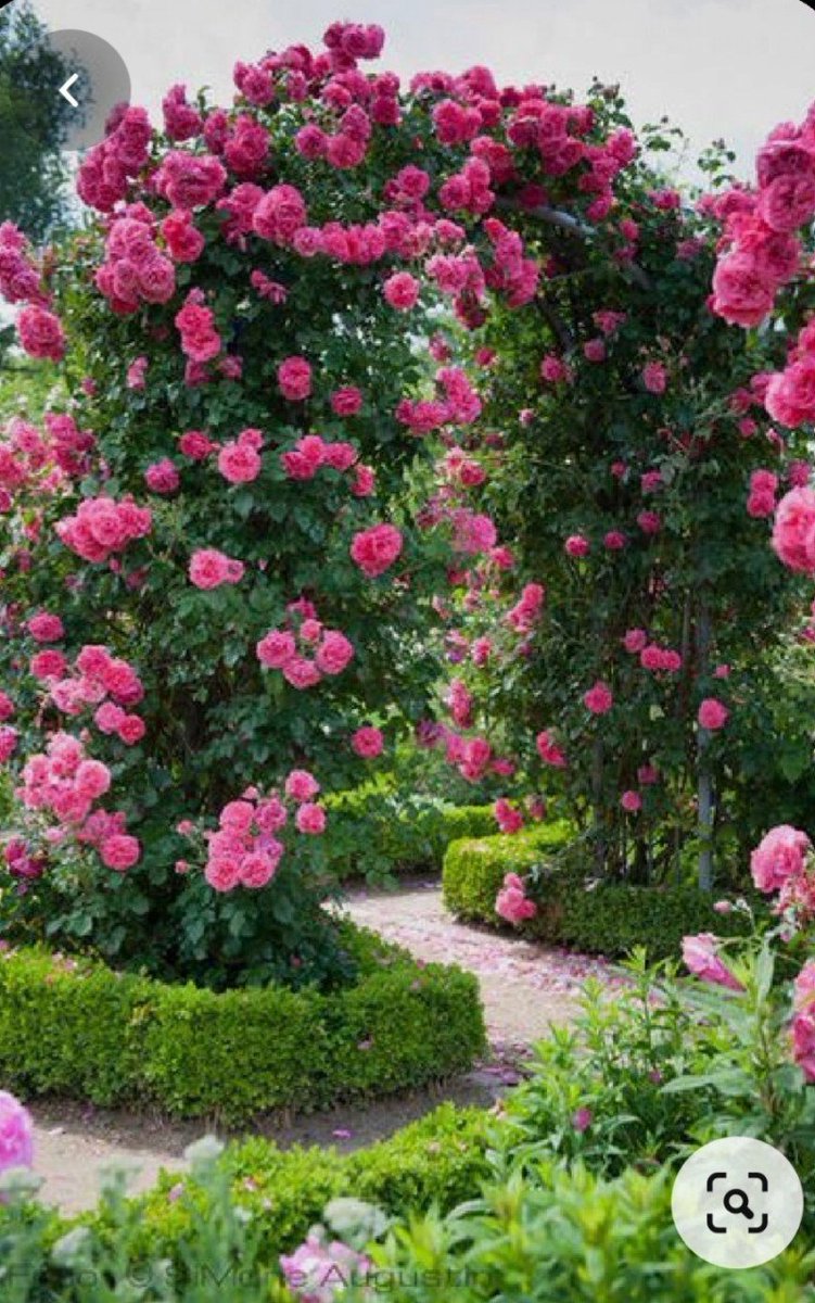 천우미디어그룹 여왕벌과장미군단-당신은 내 편이야(작사정미숙,작곡 송결,가수윤채)스타작사클럽 youtu.be/DpzQYxIWxok 출처 <a href="/YouTube/">YouTube</a>