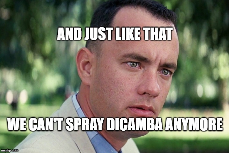 traviss22's tweet photo. ๐ #dicamba #May25 #cutoffdate #ItsOver https://t.co/kdJIpfGZRD